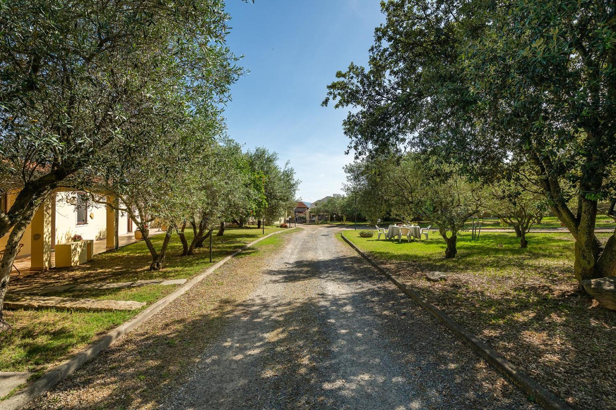 Villa Residenza Parco Degli Ulivi Villamassargia Exterior foto